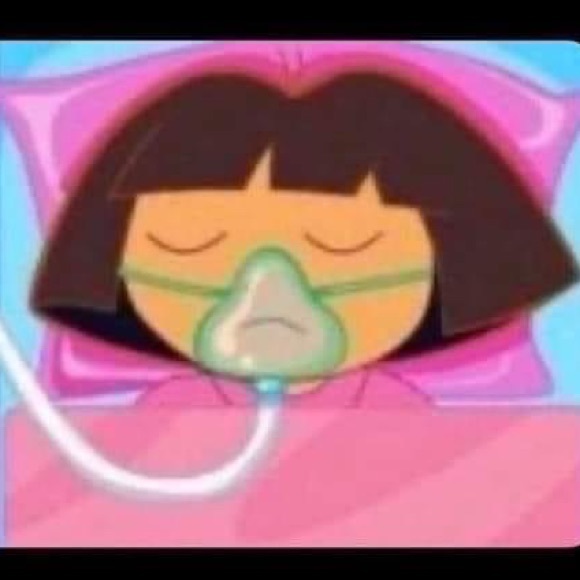 Meet your Posher, Carolina - Picture 1 of 1